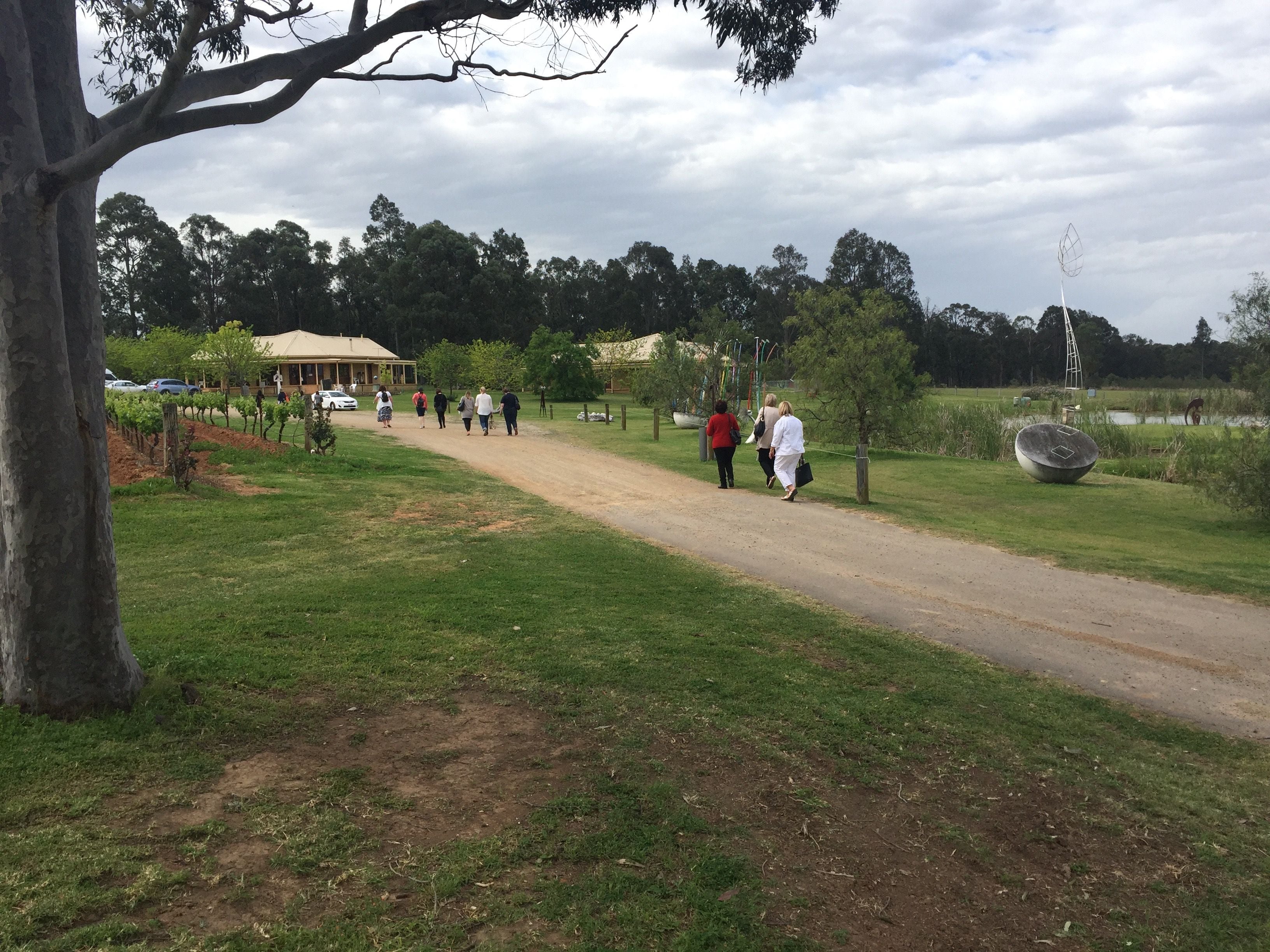 Hunter Valley Vineyard Group Bus Trips Image -5b1f33021abb2